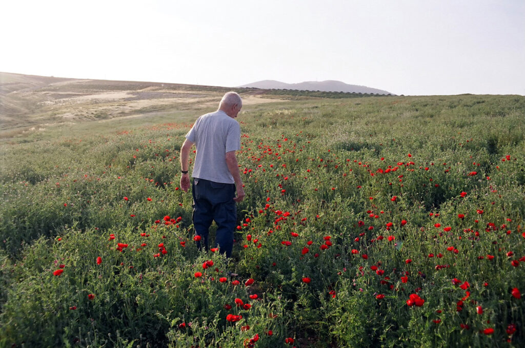 גב אב - רז גיא