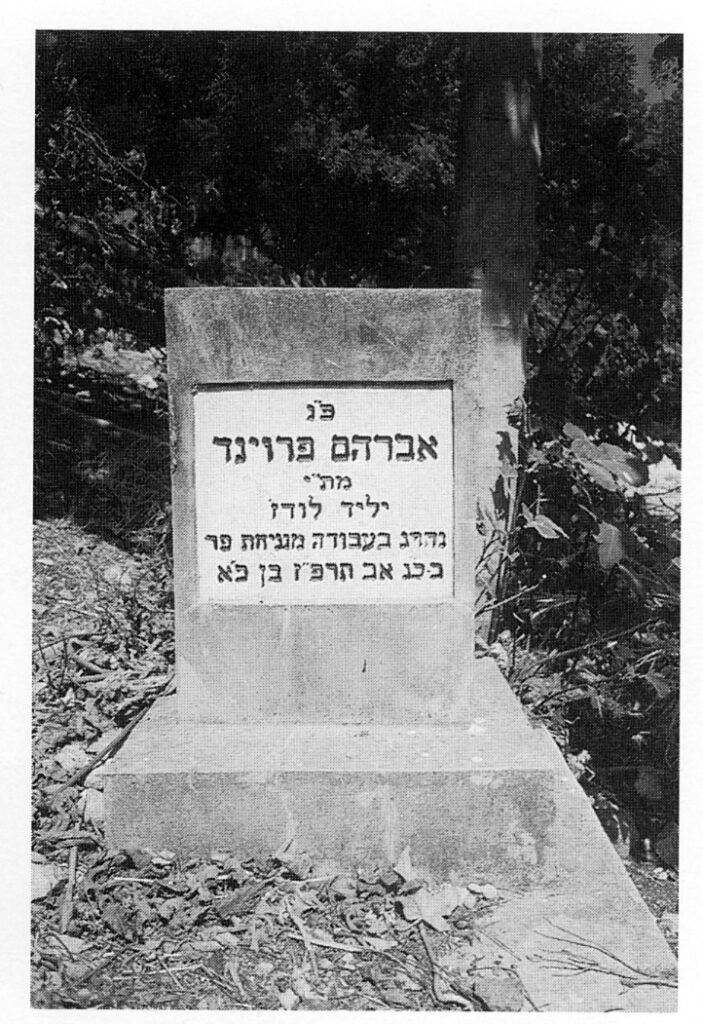 מת מנגיחת פר - רז גיא