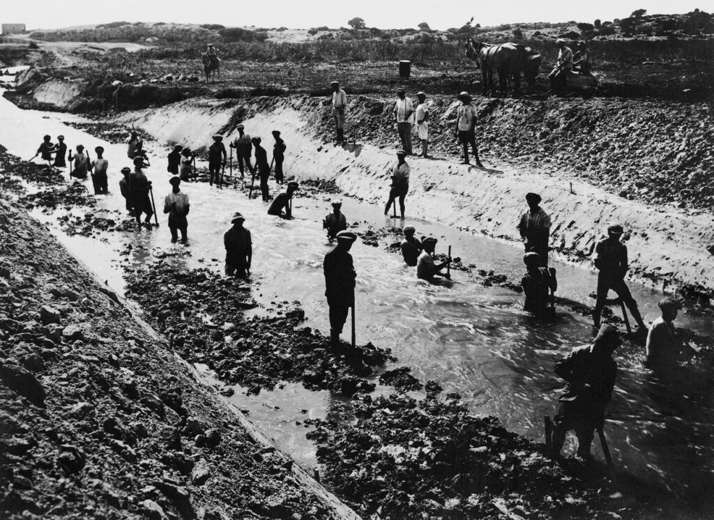 יבוש ביצת כברה בחדרה - קריסטל פנחס