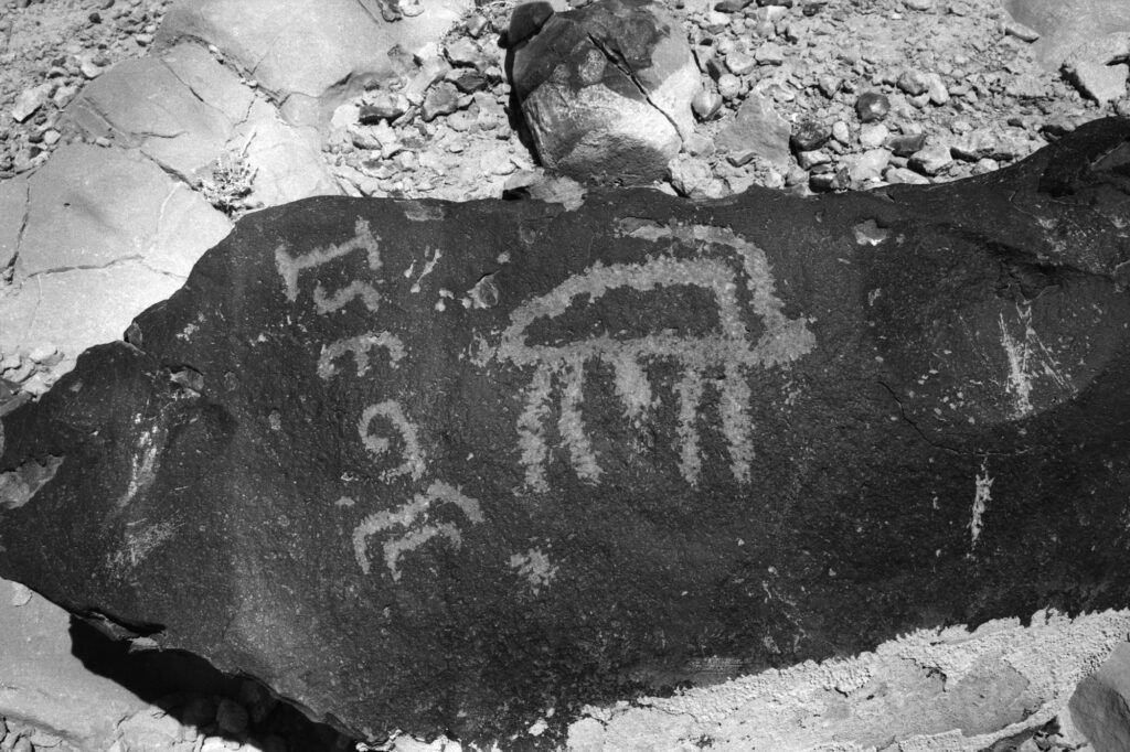 מדבר [פטרוגליף] - ינאי אריאל