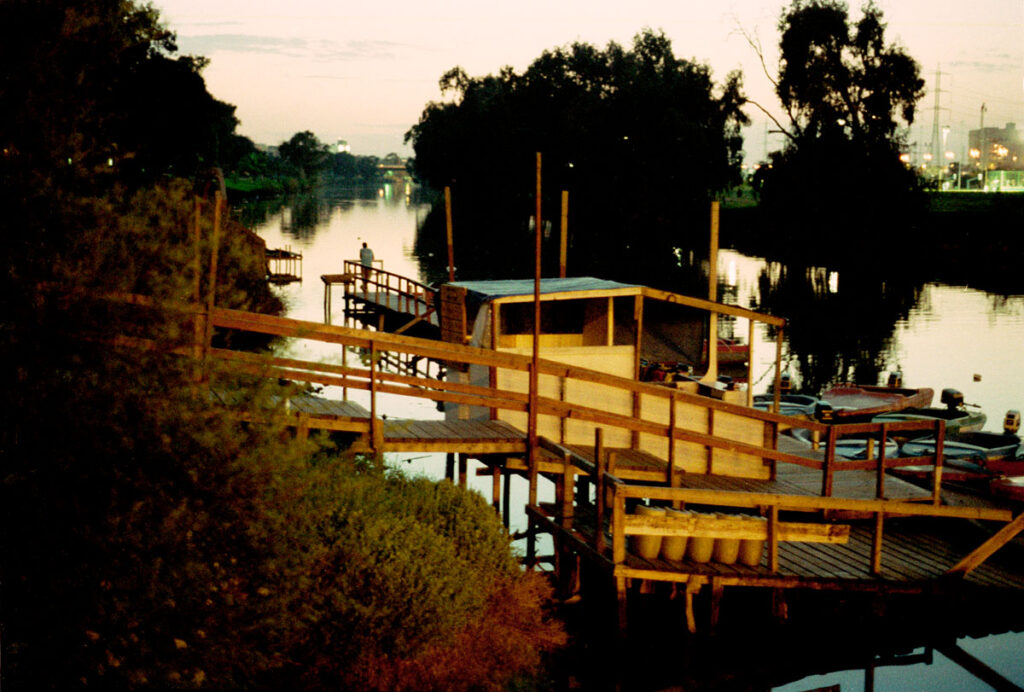 ללא כותרת - זית נועה