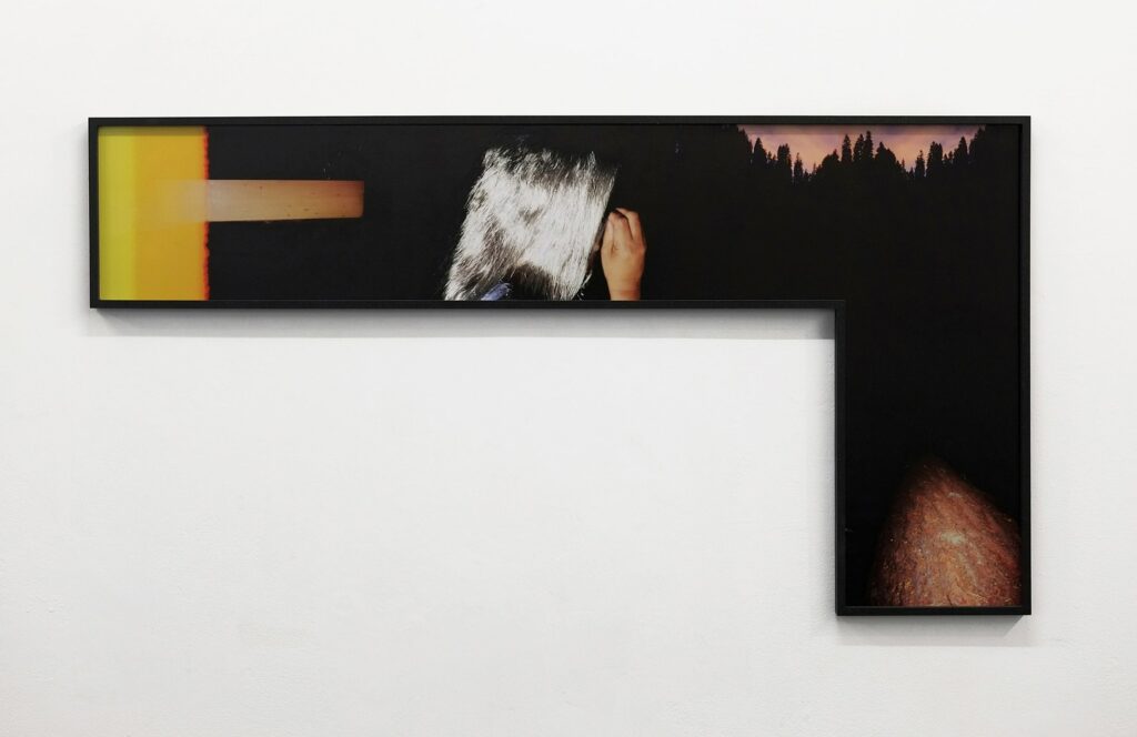 Unlikely Complicity (half horse, half light) - סט הדס