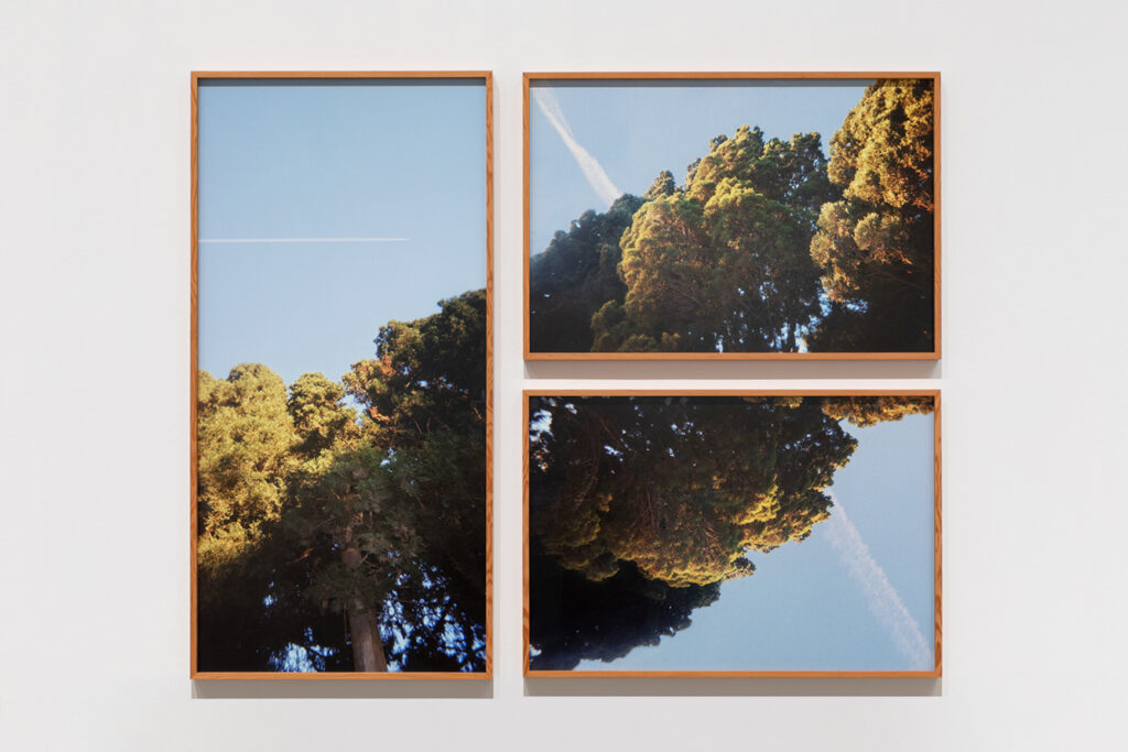 Untitled (Homage to Andrea & Robert Frank) - סט הדס