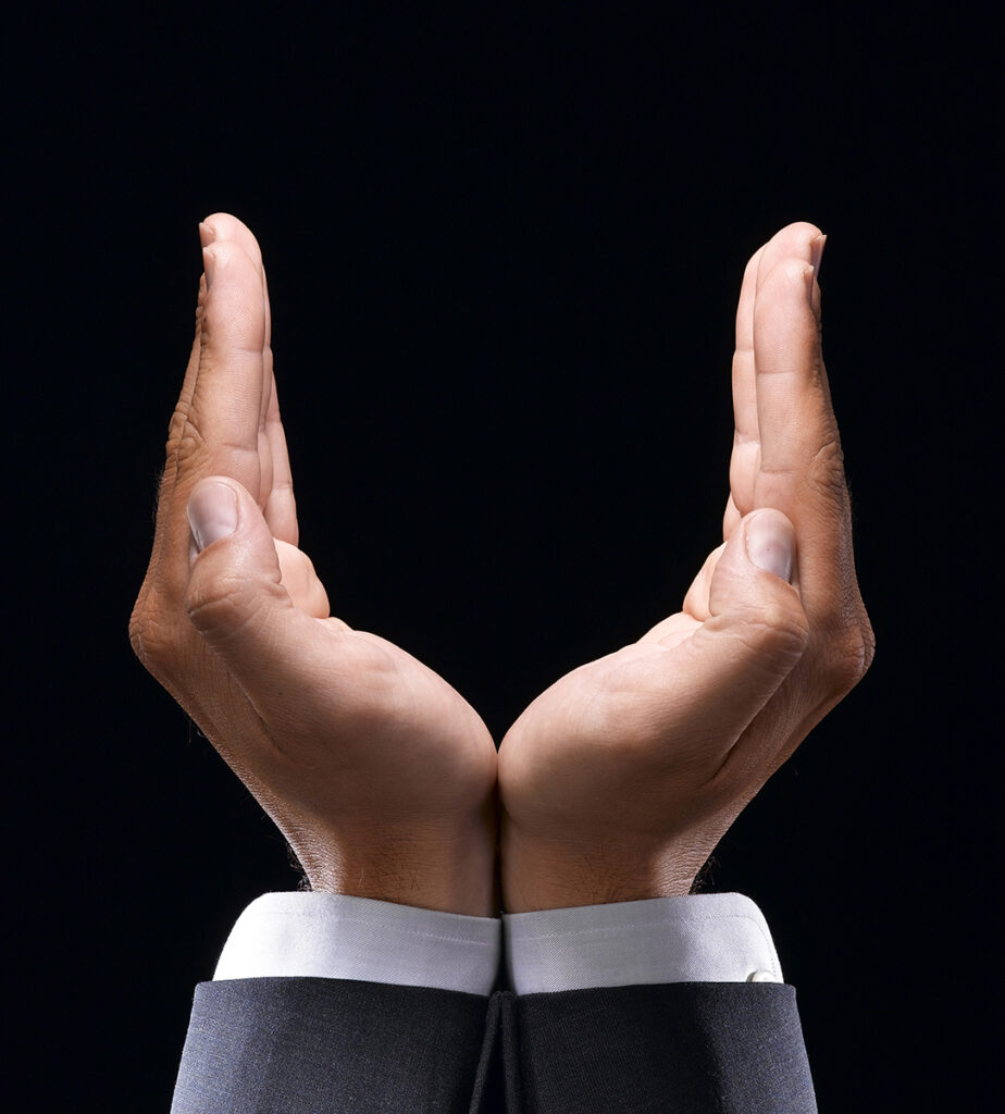 still life - כהן ישראל