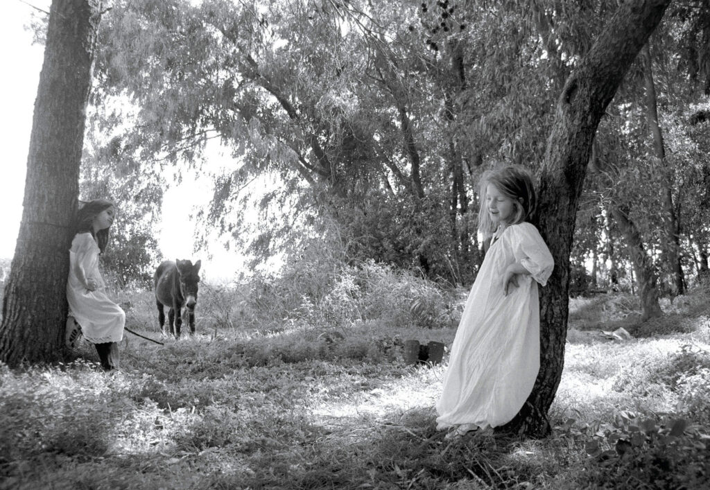 אלה ביער - שטיינר נוגה