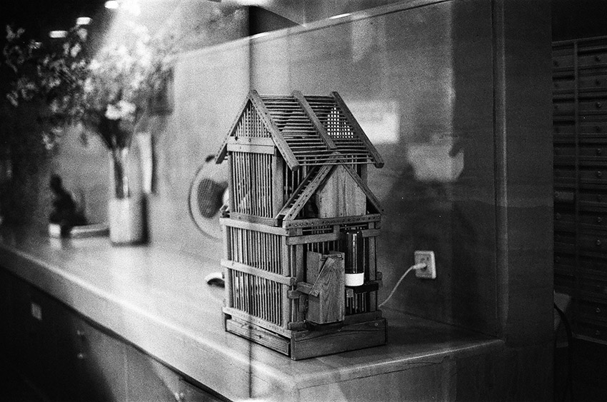 במשרד - גרינבאום שירז