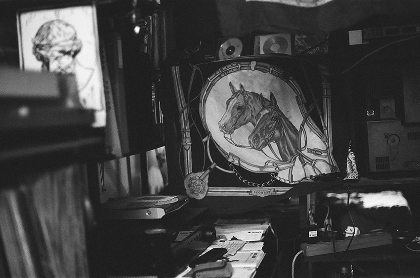 תאומים - גרינבאום שירז