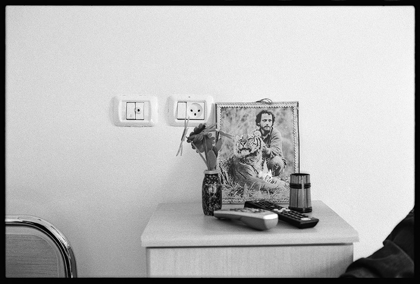 יגאל שומר על הנמר, קריית שלמה - גרינבאום שירז