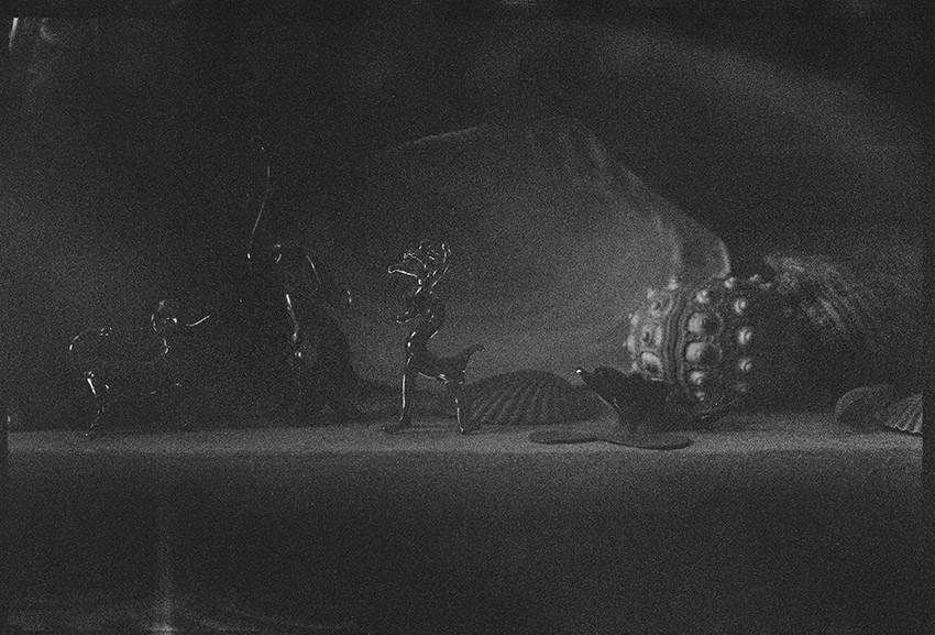 המדף - גרינבאום שירז