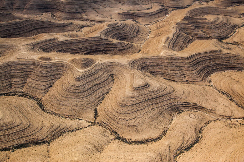 ללא כותרת - טל דובי
