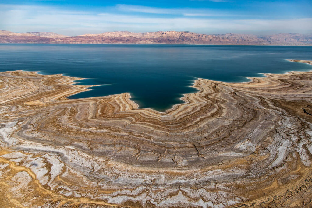 ללא כותרת - טל דובי