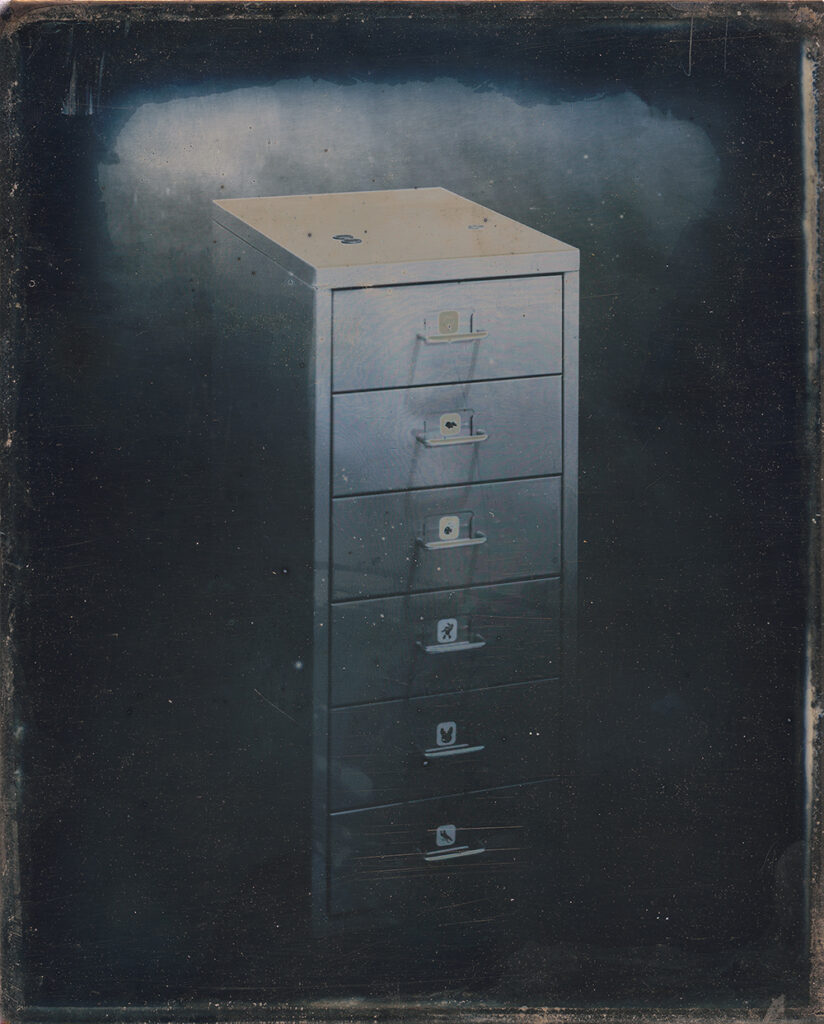 ארונית איקאה, דאגרוטייפ - גזית דפנה