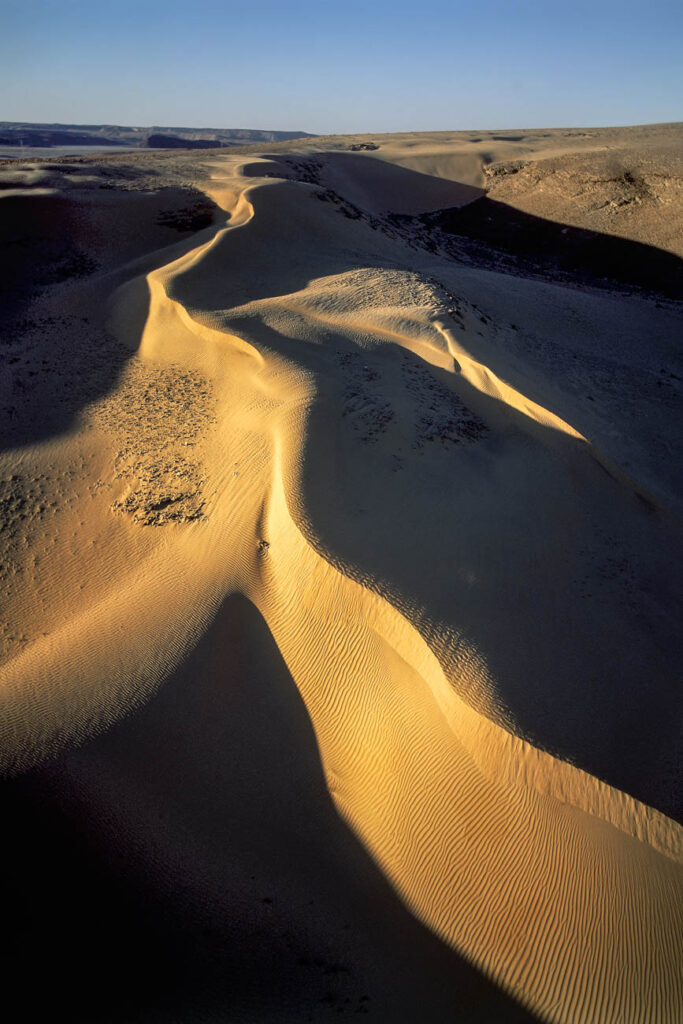 ללא כותרת - טל דובי