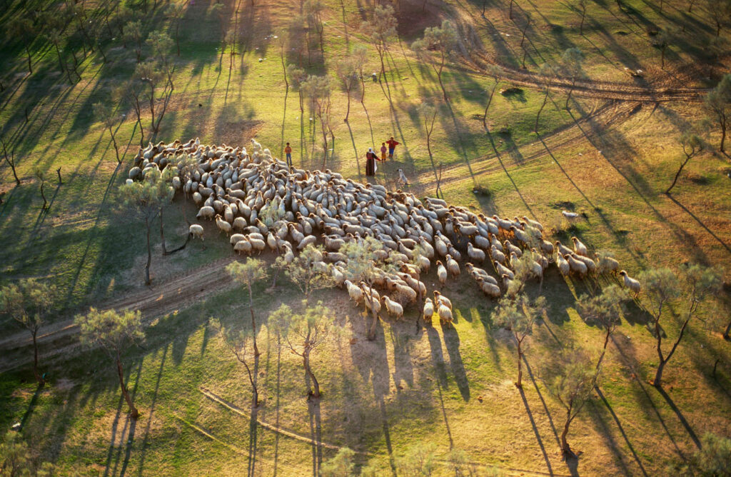 ללא כותרת - טל דובי