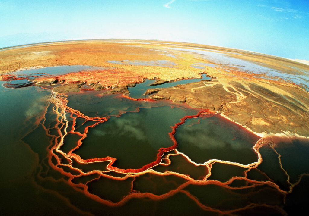 ללא כותרת - טל דובי