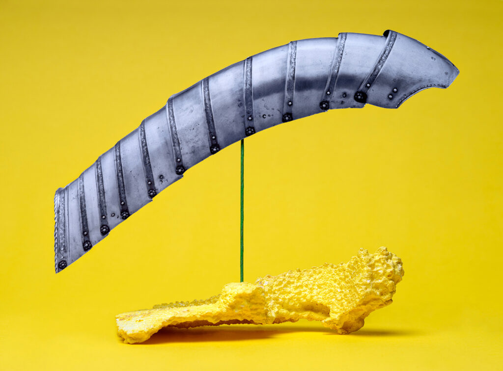 גב - אייזנברג ציקי