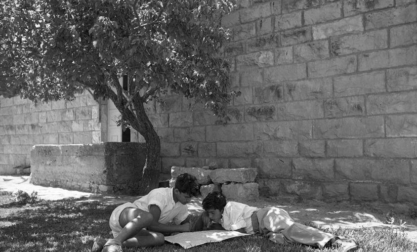 עין כרם - דגני חנה