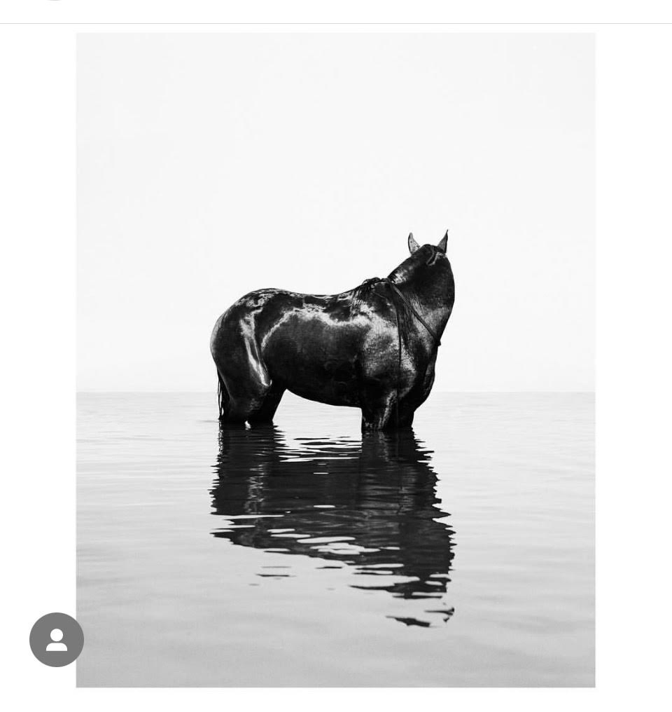 ללא כותרת - בלילטי עודד