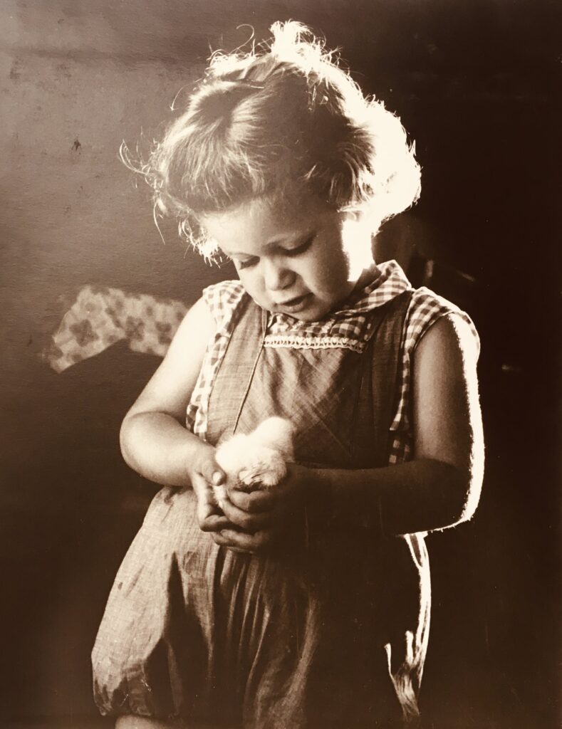 ללא כותרת - כרמי ציפור