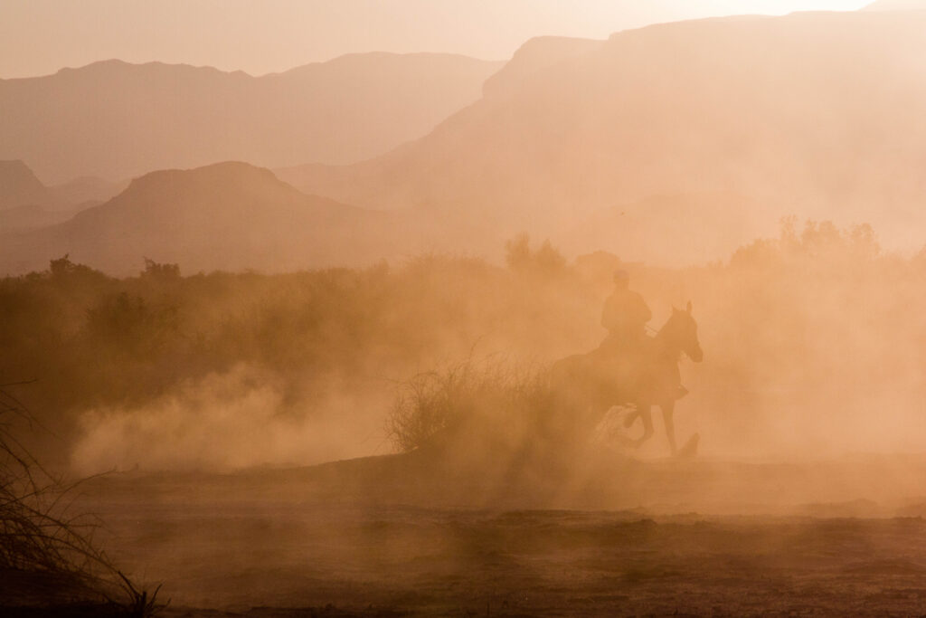 סוסים באבק שקיעה, יטבתה - ברטוב אייל