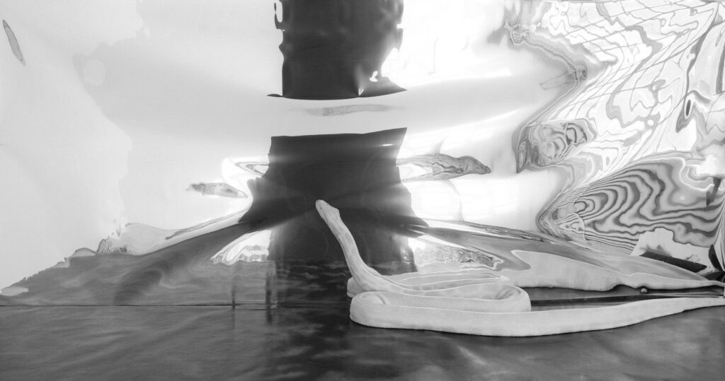 עיוות נחש שחור - דדון יוסף-ז'וזף