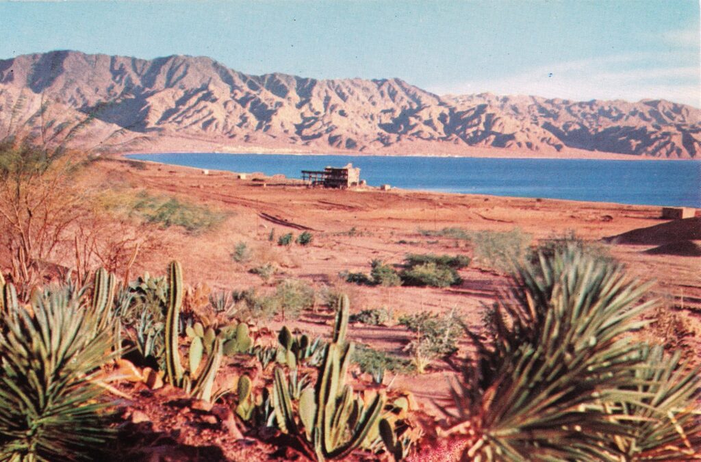 מקום לא מזוהה - סוכנות ישראנוף