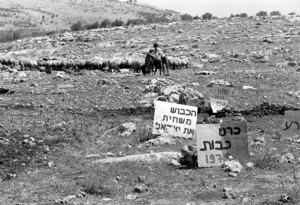 הפגנת תנועת שלום עכשיו נגד ההתנחלות ברוג'ייב - הוכמן יוסף