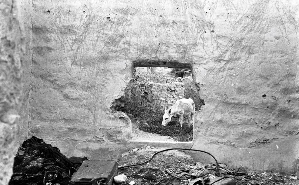 חסימות, מחנה הפליטים עקבת ג'בר, יריחו - הוכמן יוסף