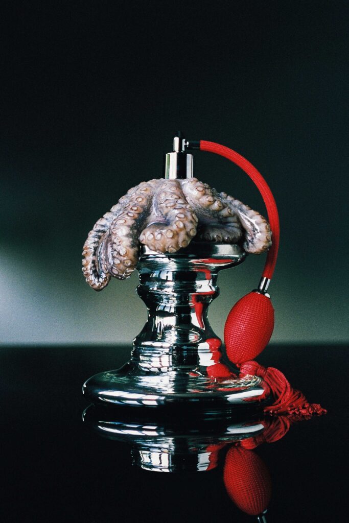 בושם - רצקר טלי