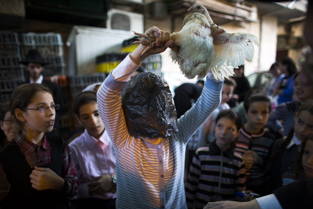נערה חרדית משתתפת בטקס כפרות בירושלים, 09.09.2013 - זבולון רונן