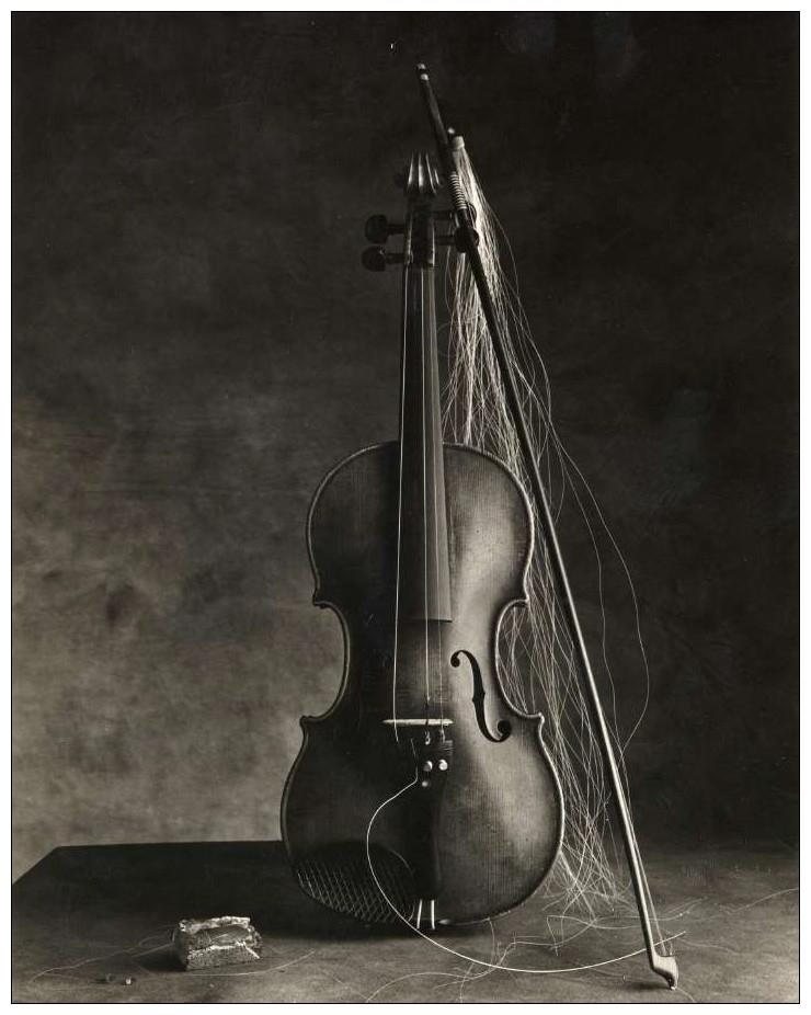 הכינור - לורנצי אילן