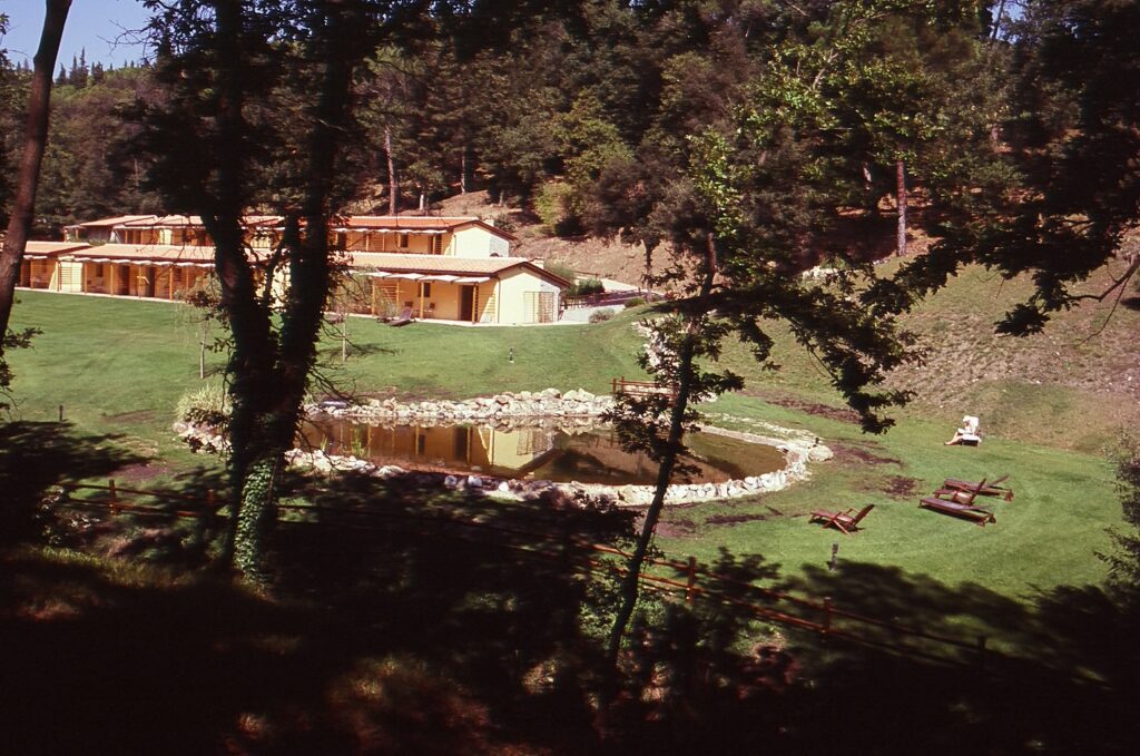 merilyn's vacance - כהן-גרבוז טלי