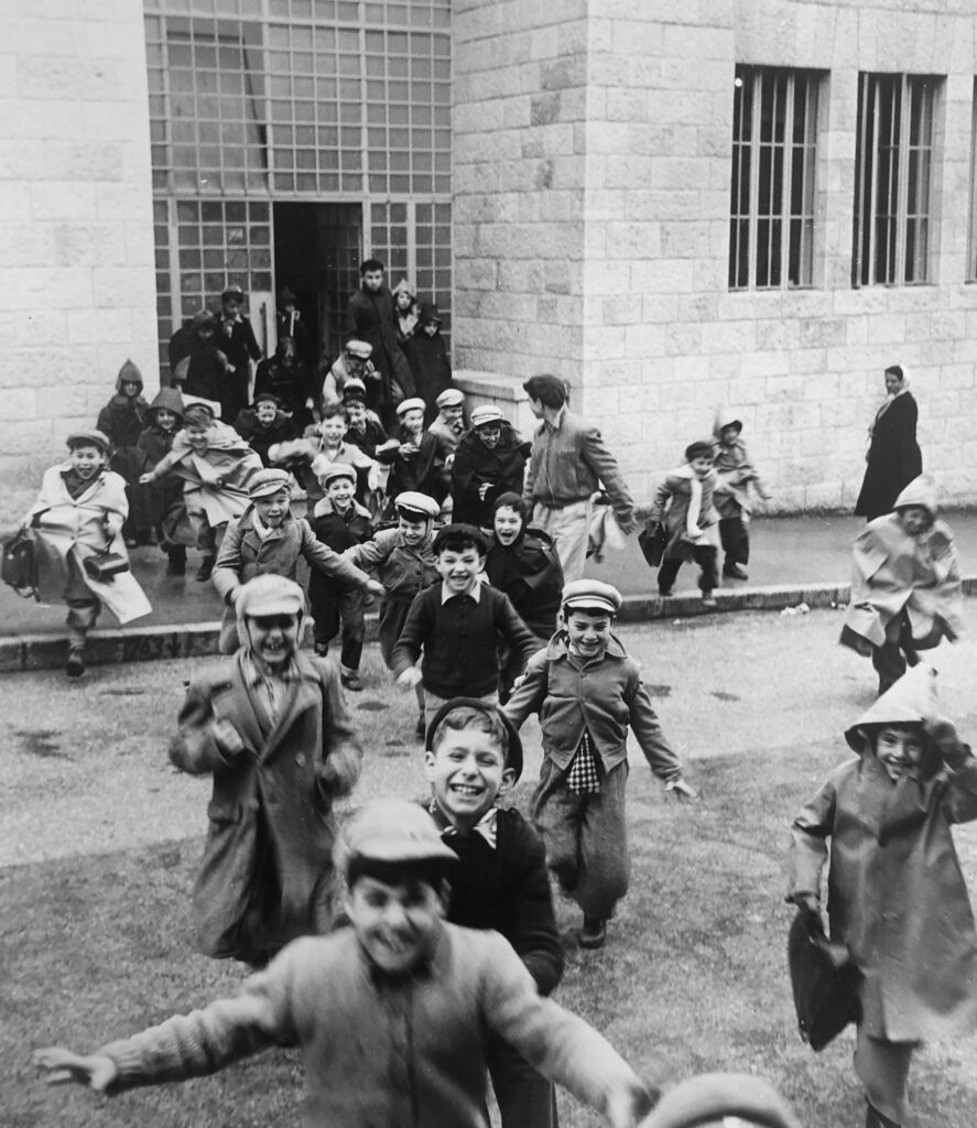 ללא כותרת - בראון יעל