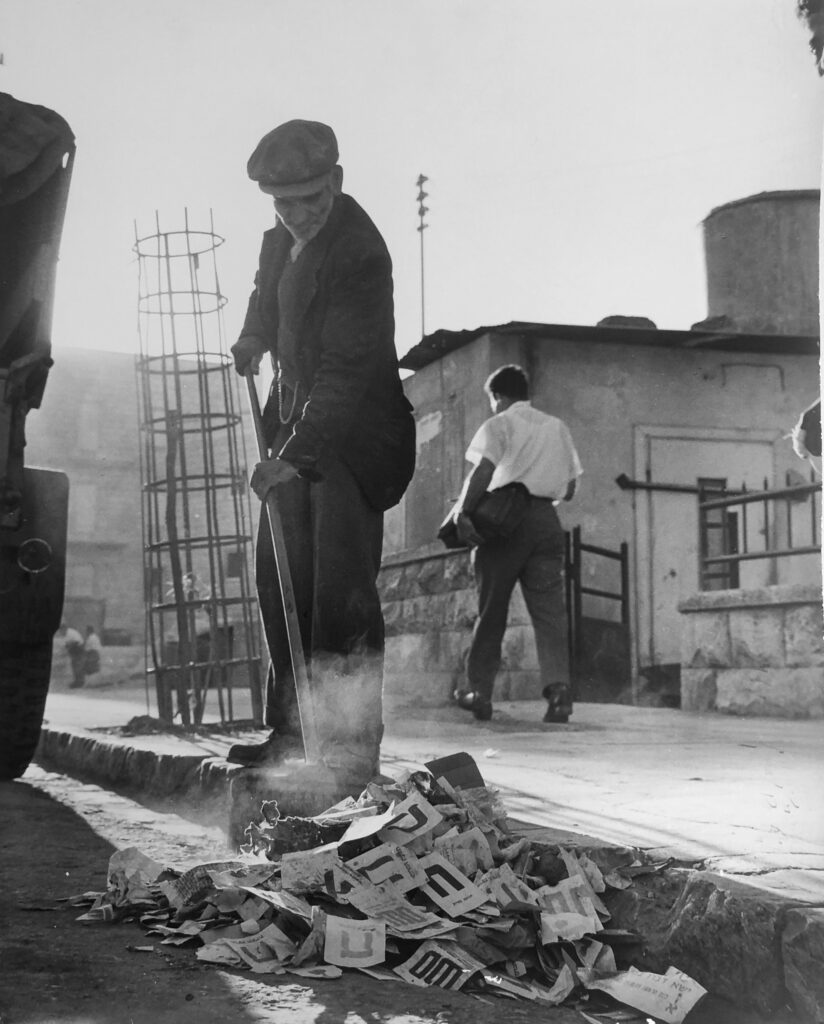 ללא כותרת - בראון יעל