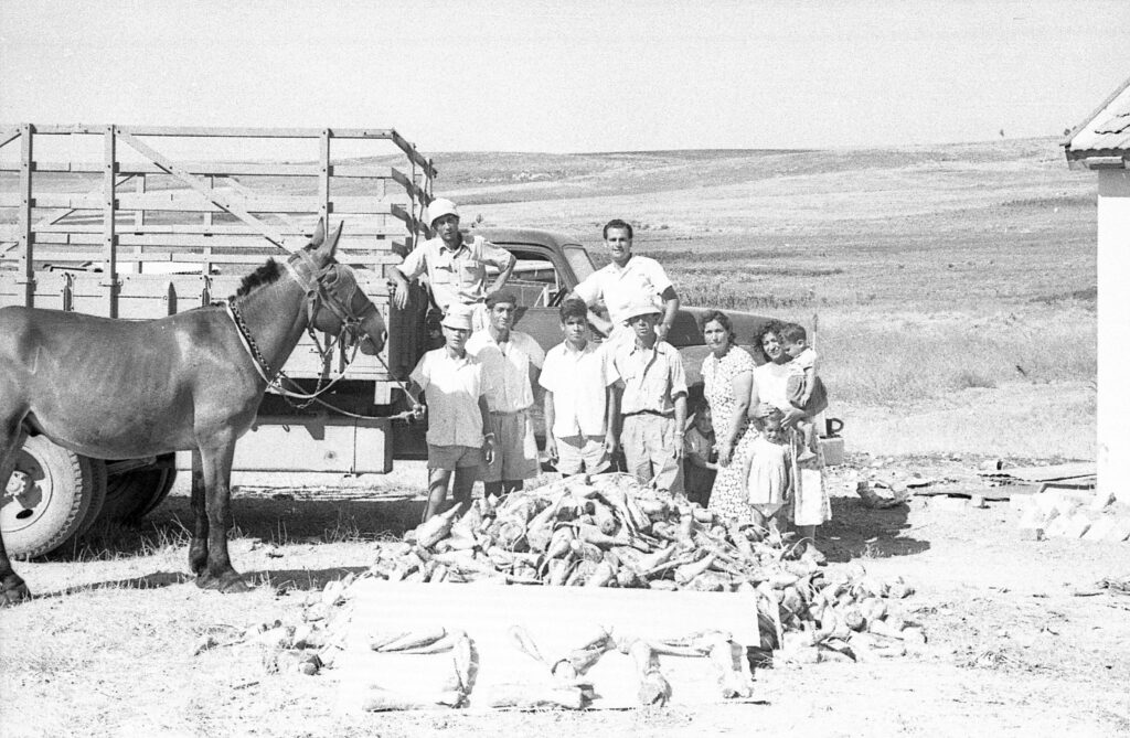 חקלאים בשדה מושב - שוסטר צבי